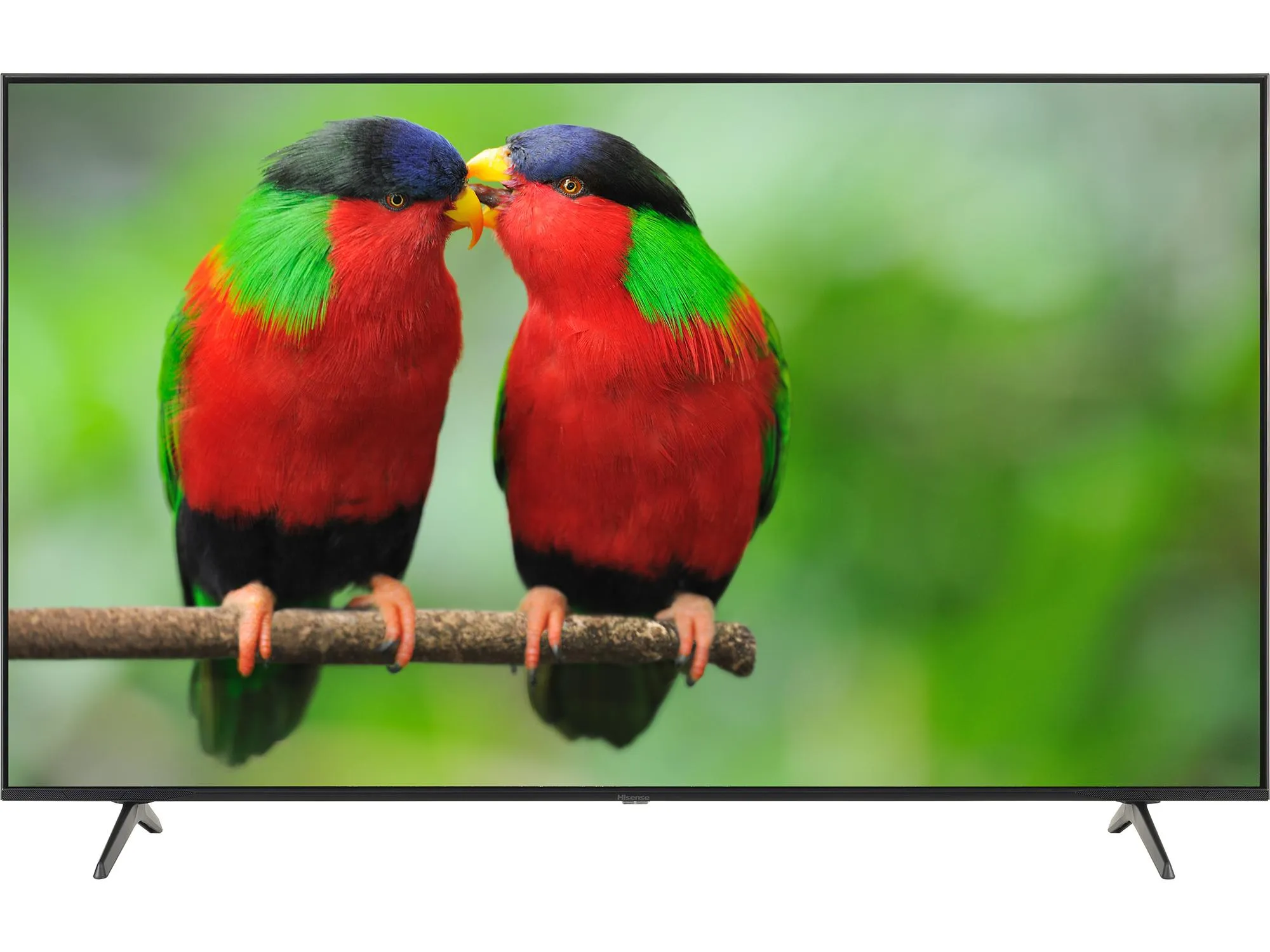 Hisense 55E7NQTUK PRO television