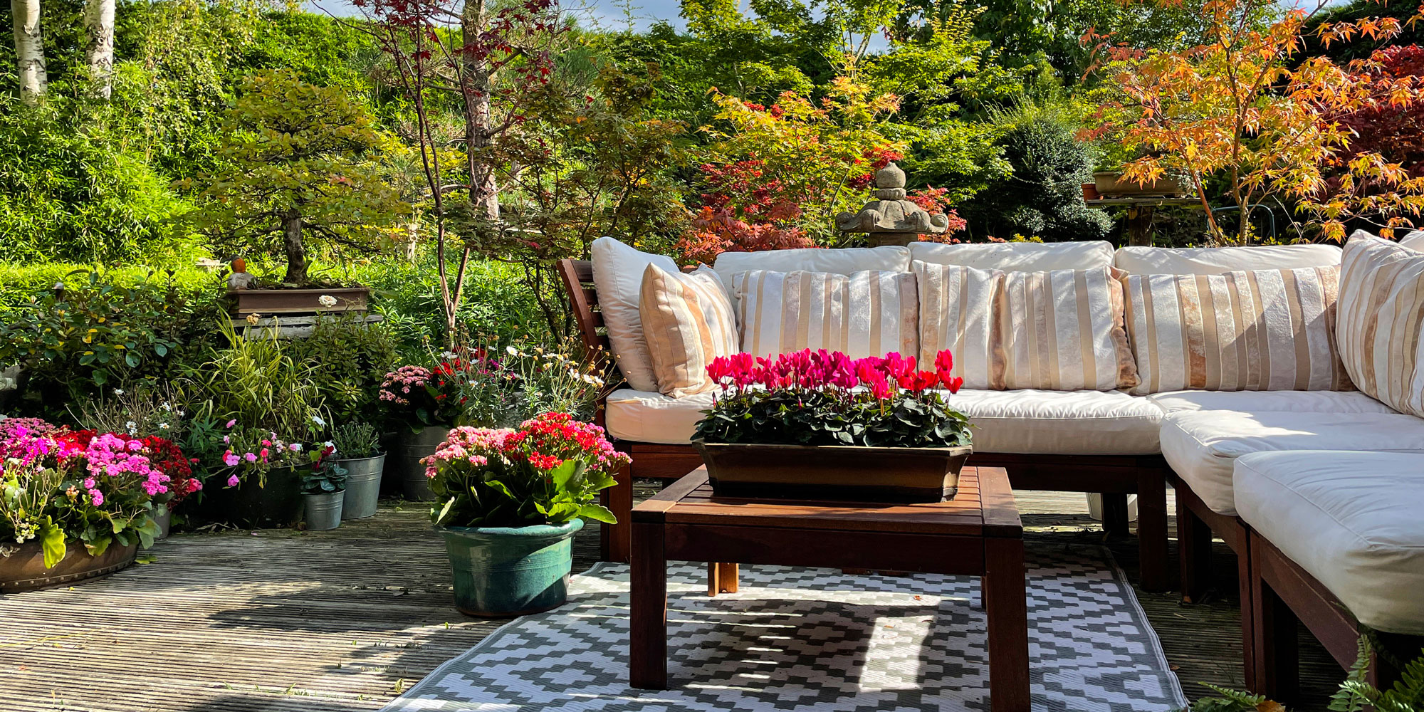 A garden in the summer