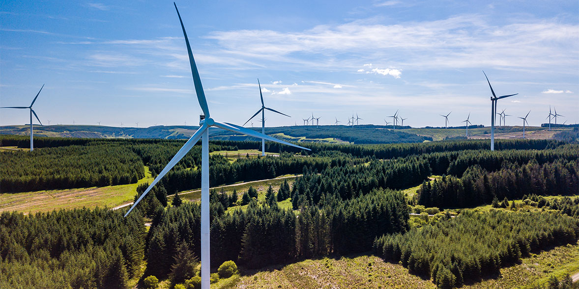 Wind turbines among fields and forest